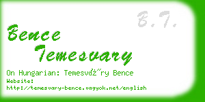 bence temesvary business card